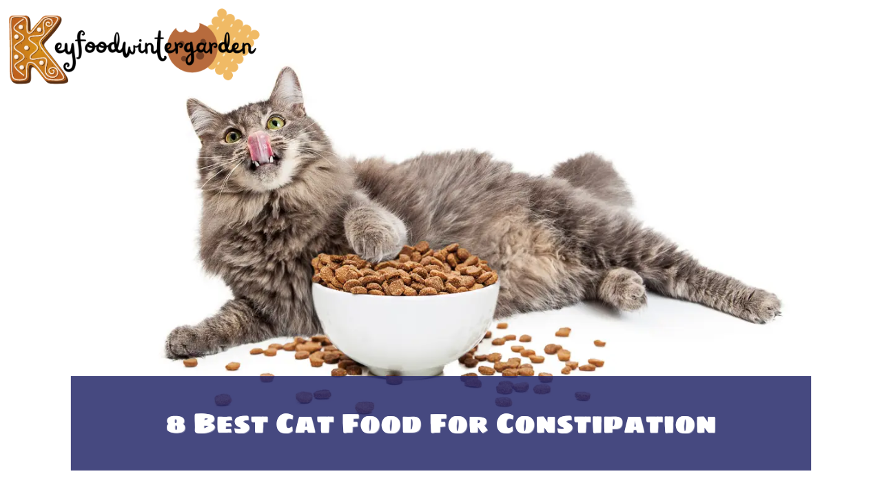 8 Best Cat Food For Constipation