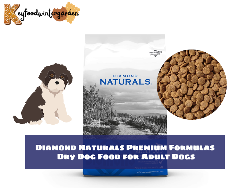 Diamond Naturals Premium Formulas Dry Dog Food for Adult Dogs