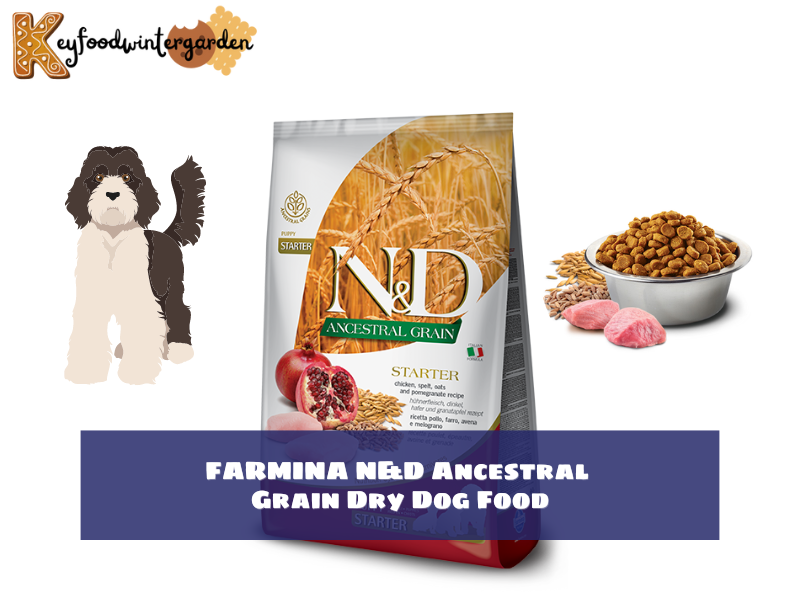 FARMINA N&D Ancestral Grain Dry Dog Food - one of the best dog food for Labradoodles