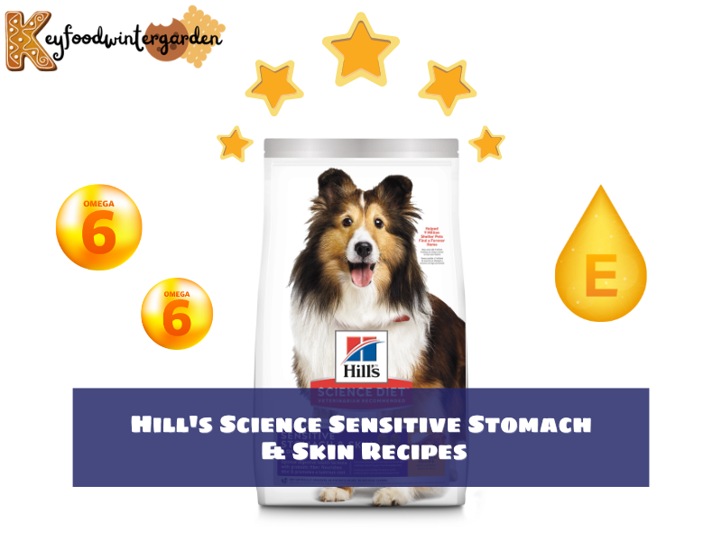 Hill's Science Sensitive Stomach & Skin Recipes - One of the Best Dog Foods For Shedding