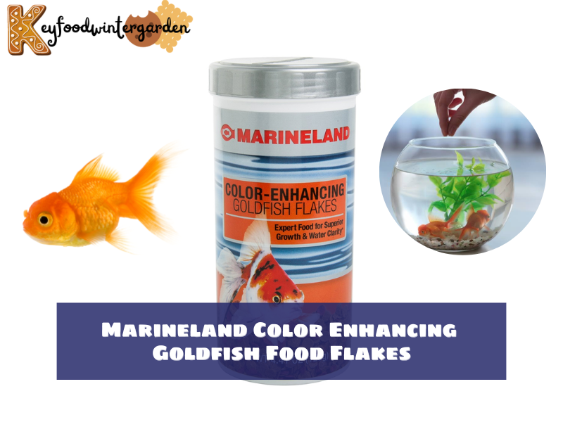 Marineland Color Enhancing Goldfish Food Flakes - best goldfish food