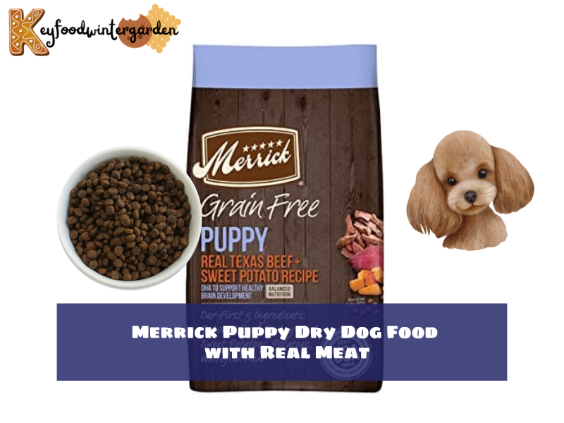 Merrick Puppy Dry Dog Food with Real Meat