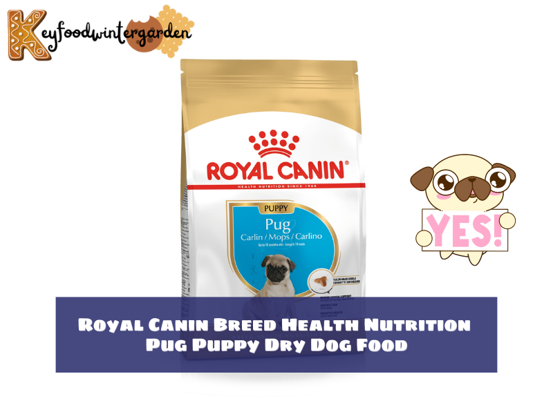 Royal Canin Breed Health Nutrition Pug Puppy Dry Dog Food