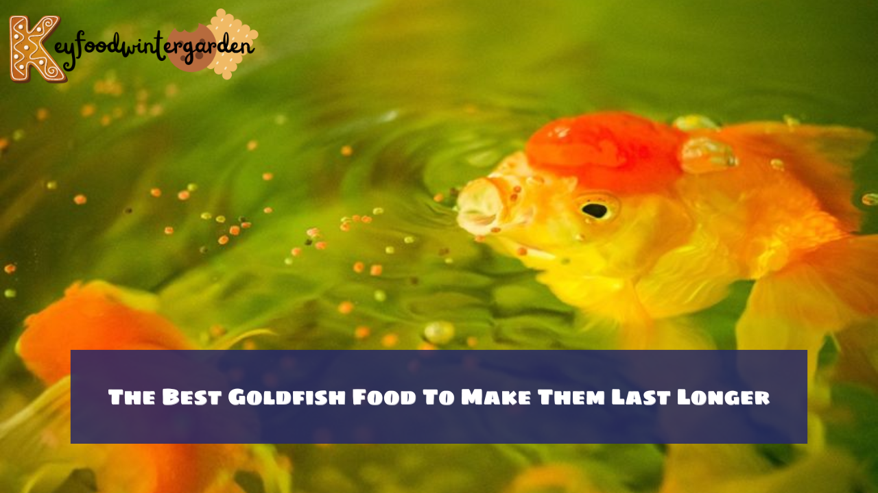 The Best Goldfish Food To Make Them Last Longer
