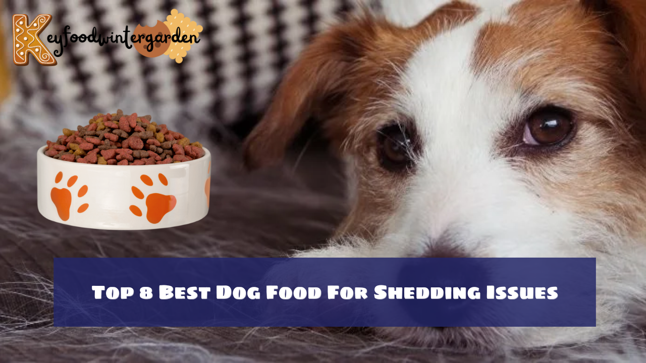 Top 8 Best Dog Food For Shedding Issues