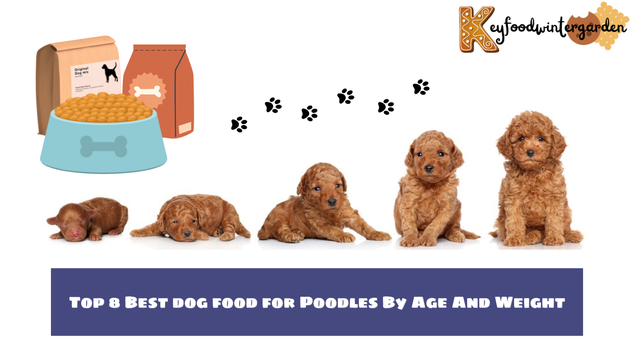 Top 8 Best dog food for Poodles By Age And Weight