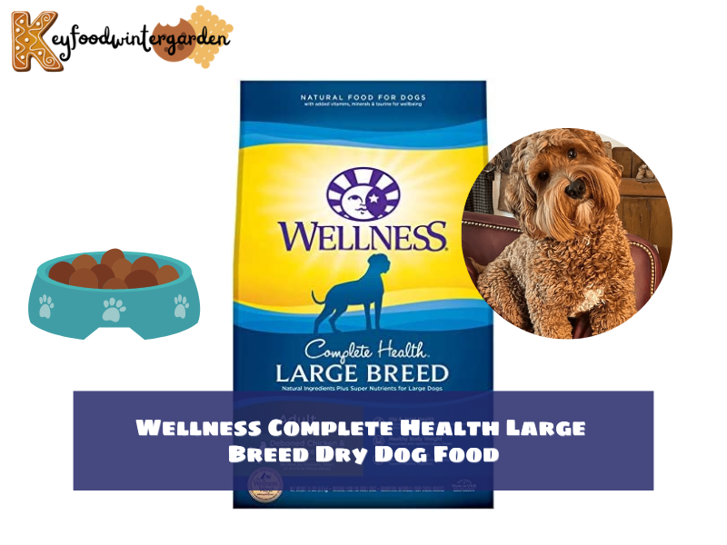 Wellness Complete Health Large Breed Dry Dog Food